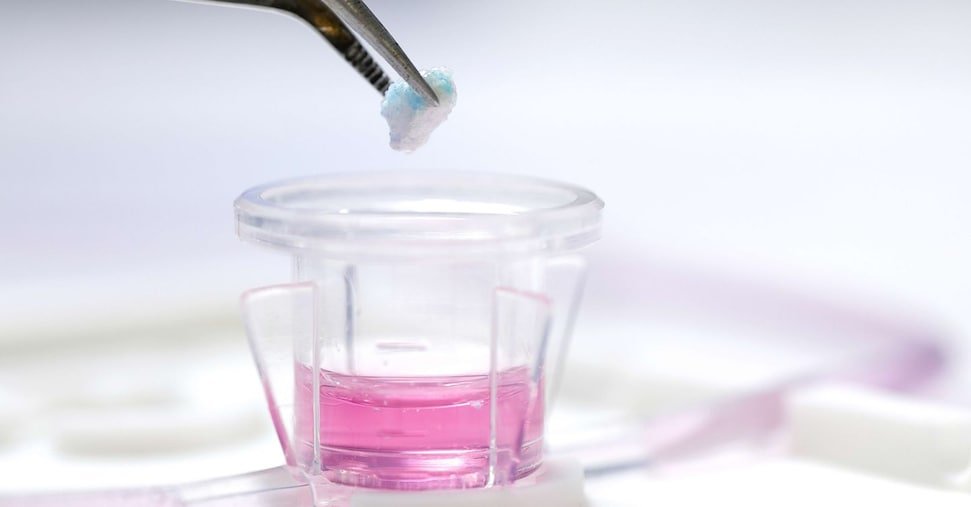 vai alla homepage de Il Sole 24 Ore