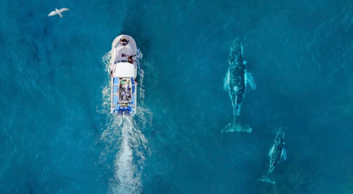 Brussels turns to oceans, fisheries and maritime security ahead of European Ocean Days