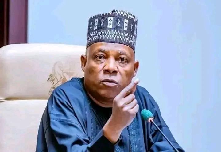 Time’s Up For Fragmented Job Programmes – Shettima