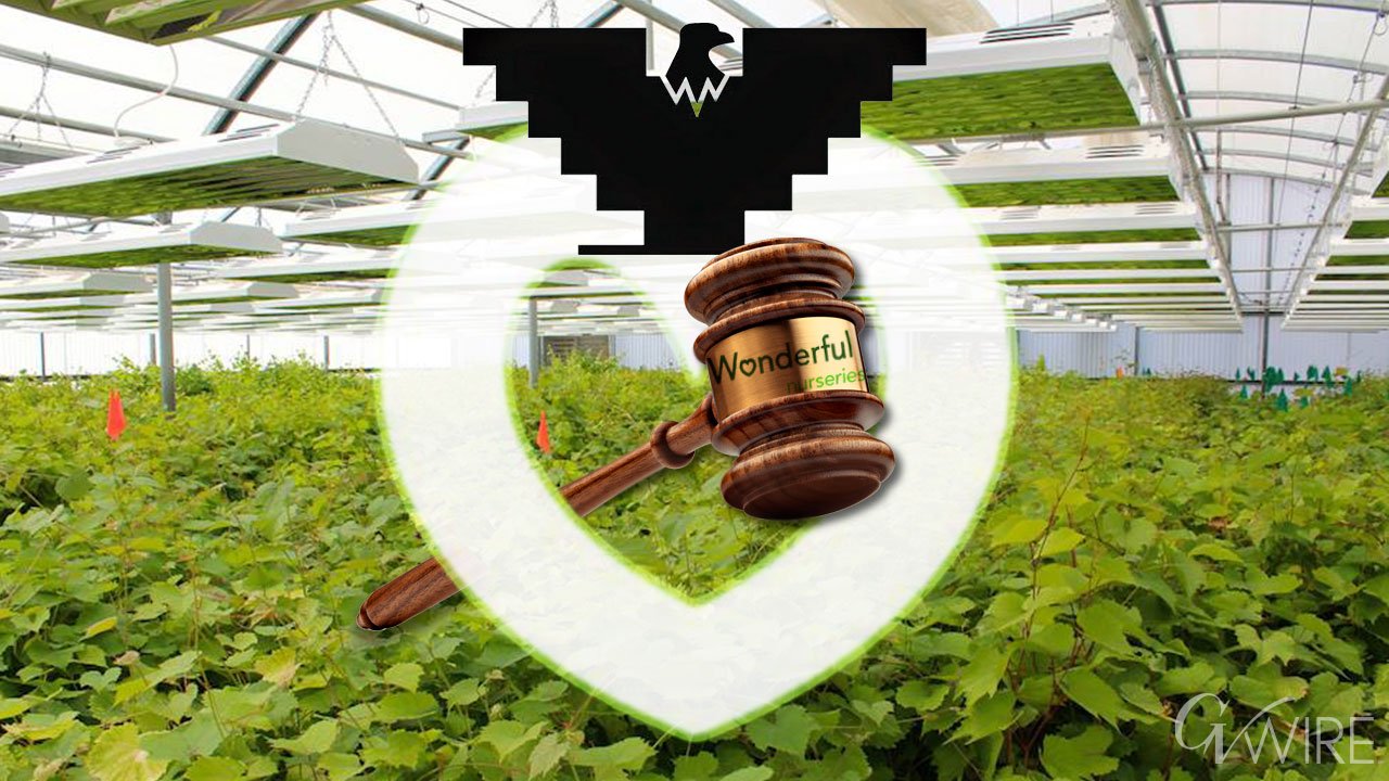 20 Workers Join Wonderful Co. Lawsuit Alleging 'Fraudulent' UFW Vote