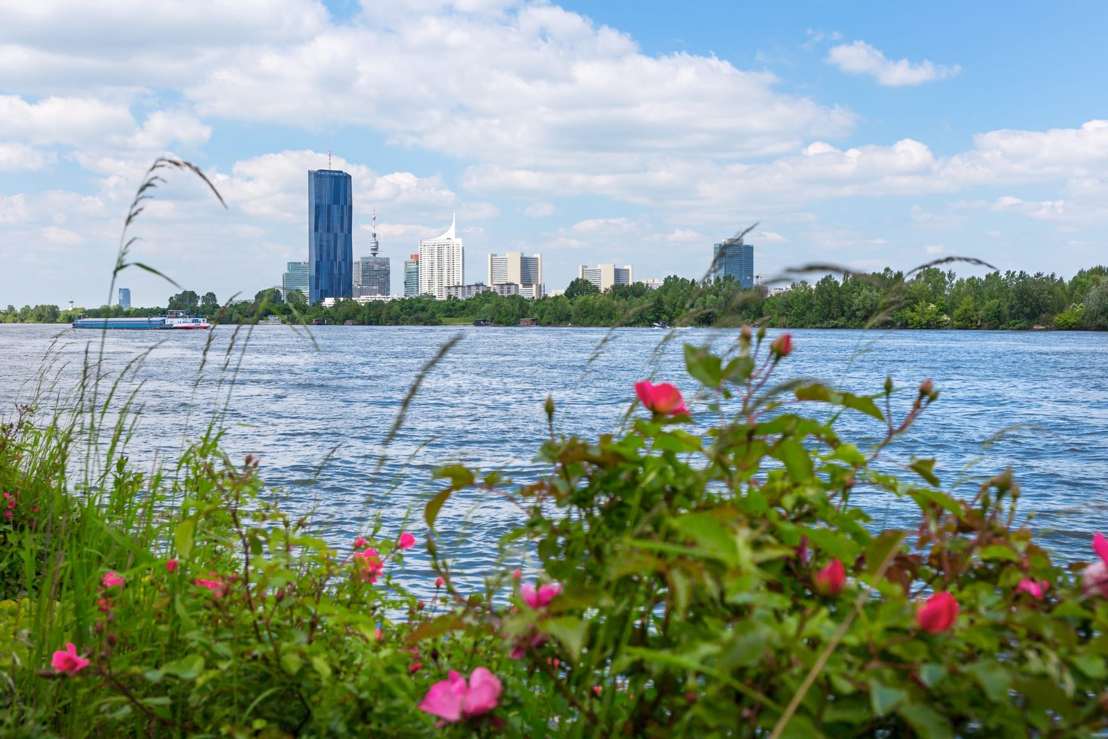 12 Life Science Startups Named to SLAS Europe 2026 Innovation Showcase Program