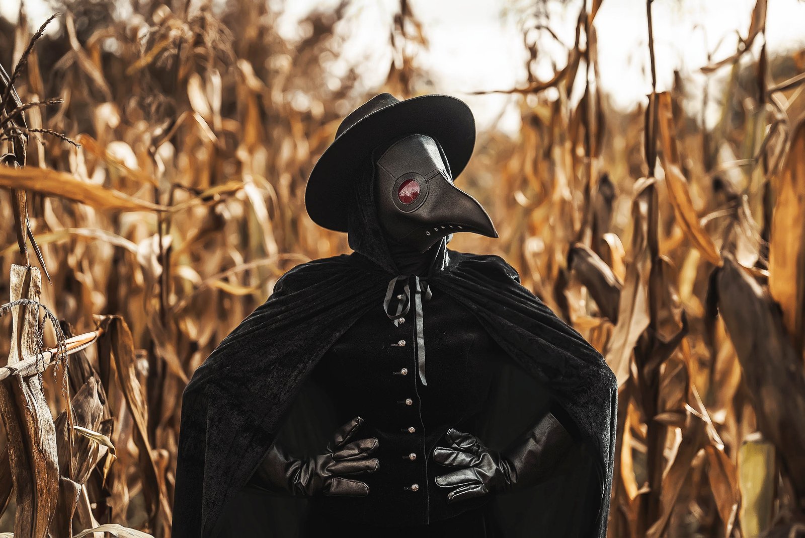 Europe's plant diversity collapsed after the Black Death plague