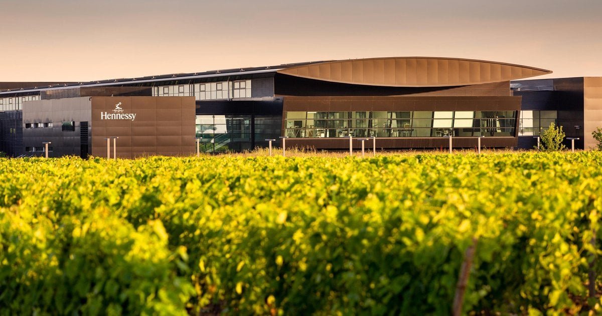 Why is Soil Protection Needed for Food and Drink Stability?