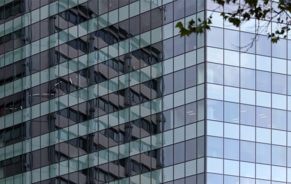 A different kind of firm