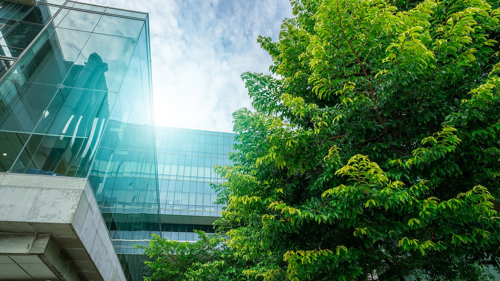 FAQs: The EU Corporate Sustainability Due Diligence Directive (CS3D) after the Omnibus revisions | Global law firm