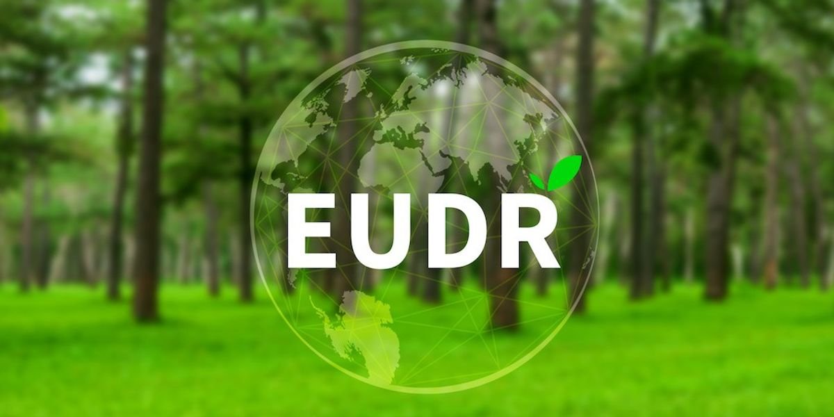 EU Deforestation Regulation | what it means for attractions