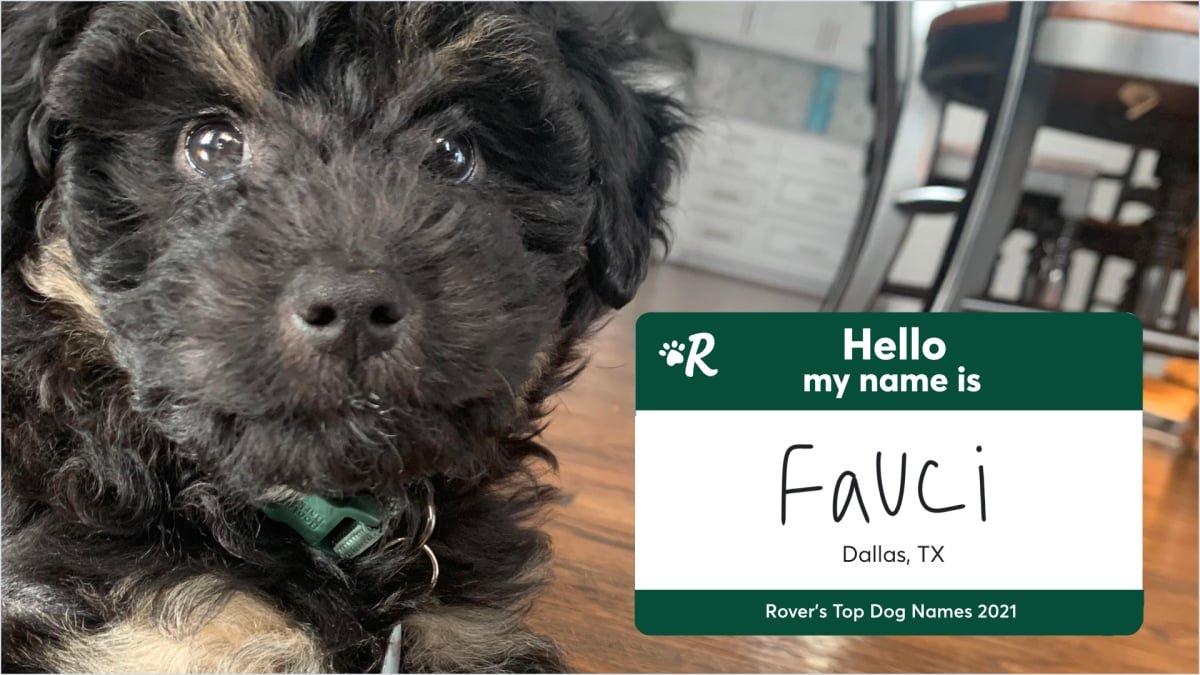 Rover's 2021 list of top pet names
