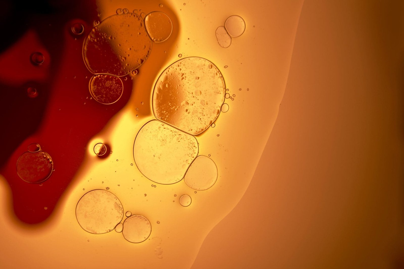 Bringing sustainable chemical production forward in central Europe