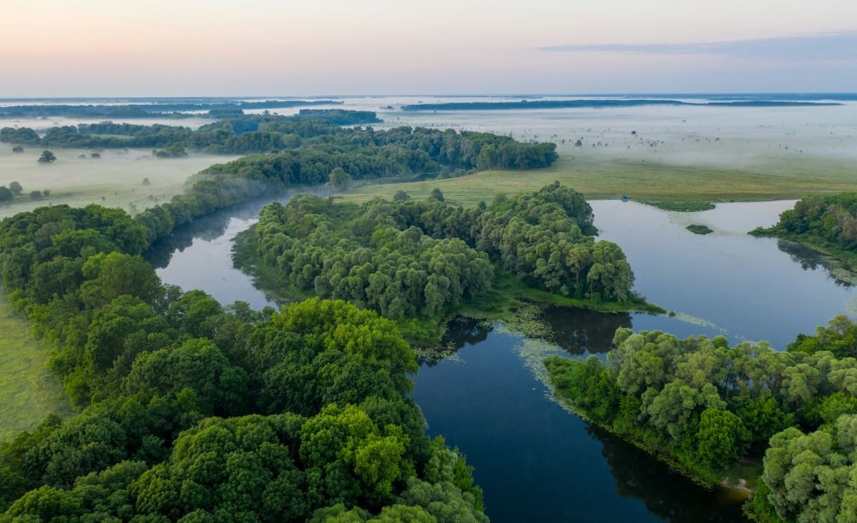 European climate investors embrace growth-stage deals