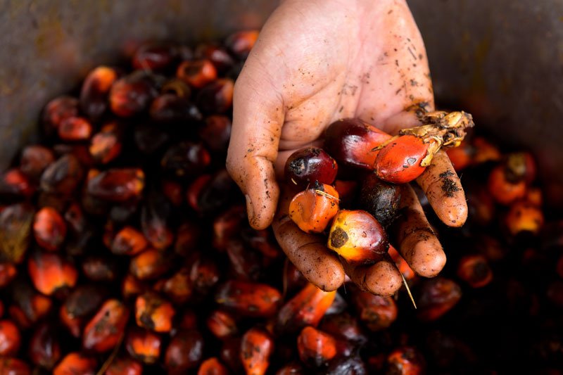 Why verified sourcing matter in the cosmetics industry