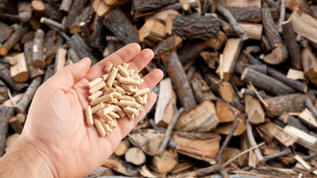 Member states back proposal for EU-wide bioeconomy strategy