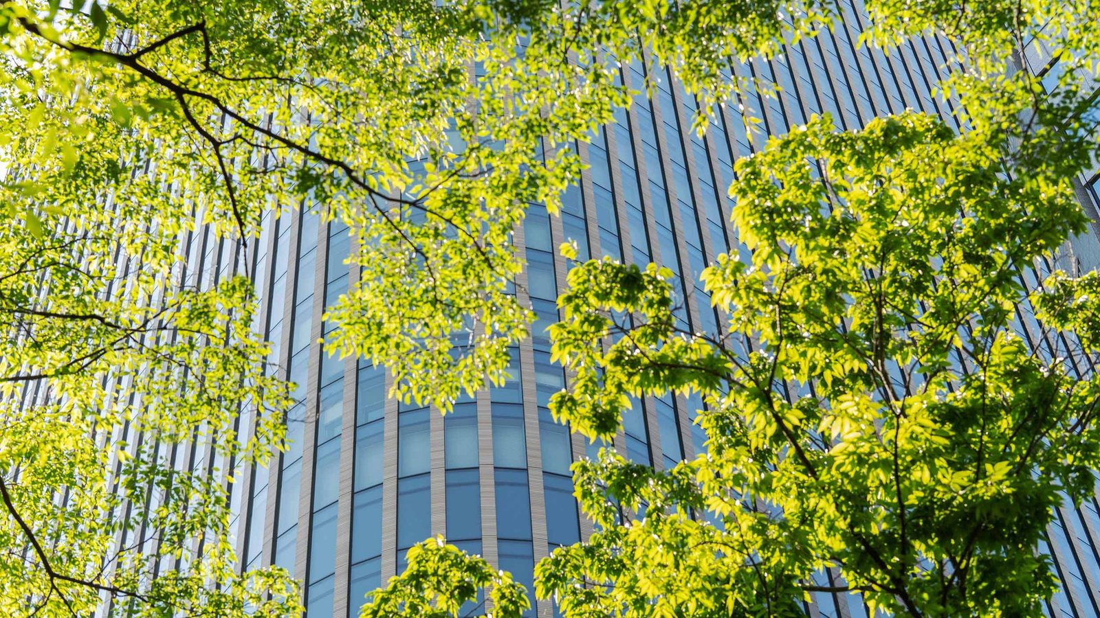 The ‘sustainability doom loop’: why companies should be ‘greenshouting’