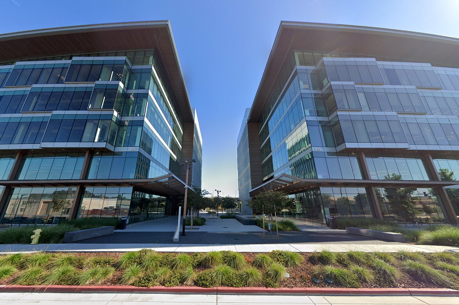 Bay Area biotech company, once worth $1.2B, lays off 90% of staff