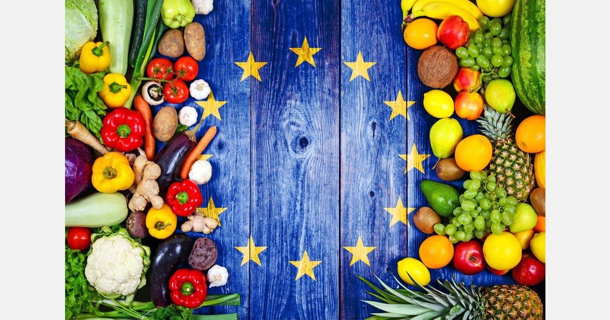 IFPA launches 2026 EU policy agenda