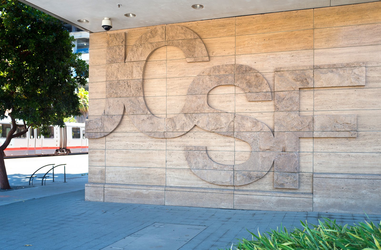 Thousands strike at UCSF over 'disheartening' mass layoffs