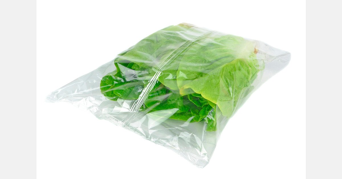 South Africa builds packhouse capacity for EU regulations