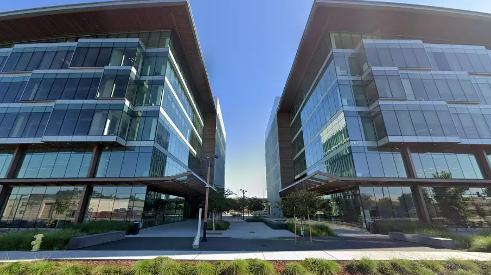 Bay Area biotech company laying off 90% of staff as CEO leaves