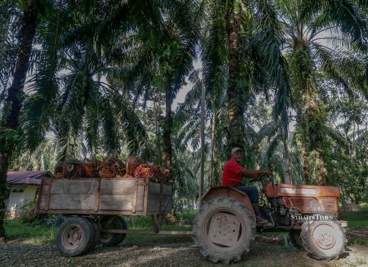 Palm oil finds new buyers as Europe steps back