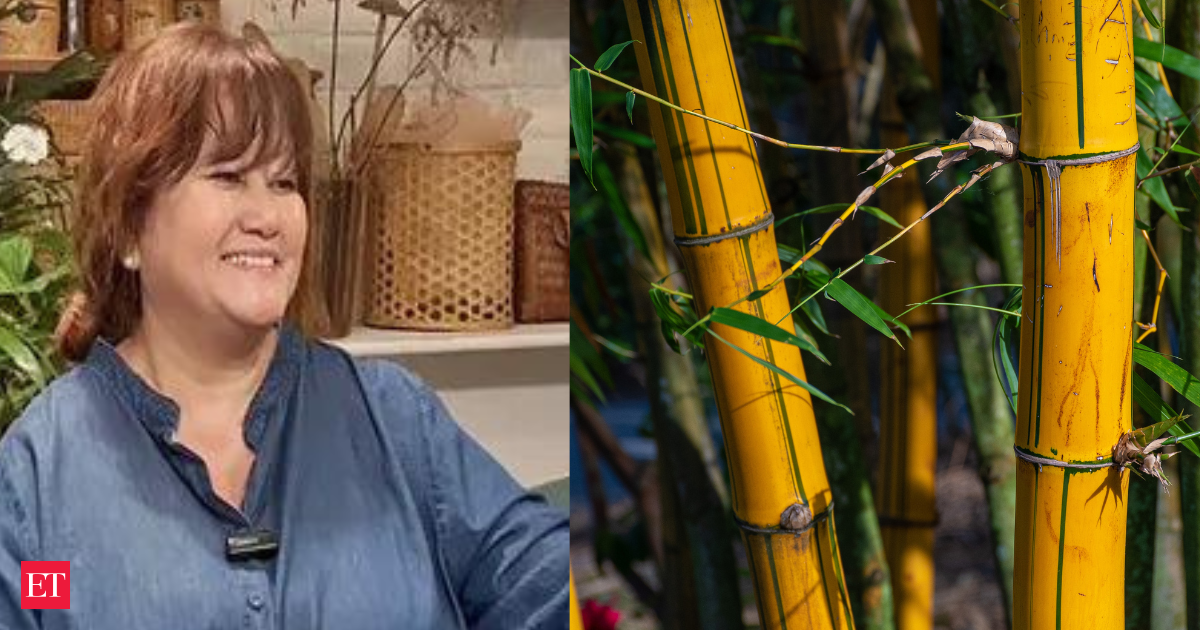 This Sikkim entrepreneur’s bamboo startup is so unique that even PM Modi praised her in Mann Ki Baat. Her story will change how you see opportunity