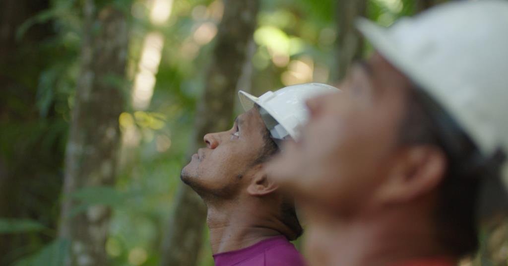 ‘Credible sustainability practices are a strategic anchor in uncertain conditions’ | Article