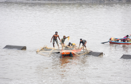 India’s fisheries sector draws Rs 39,272 crore investment since 2015, seafood exports double