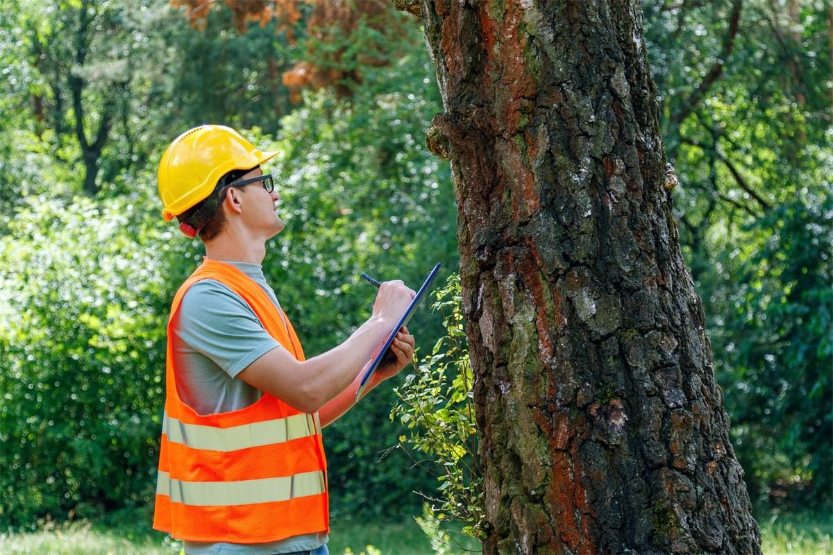 Europe’s forest-based bioeconomy needs a credible voice. #GreenSource is building it