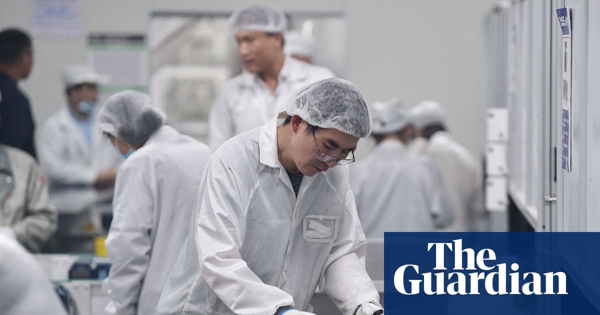 Reliance on Chinese green tech poses ‘serious’ risk for Europe, experts say | Technology sector