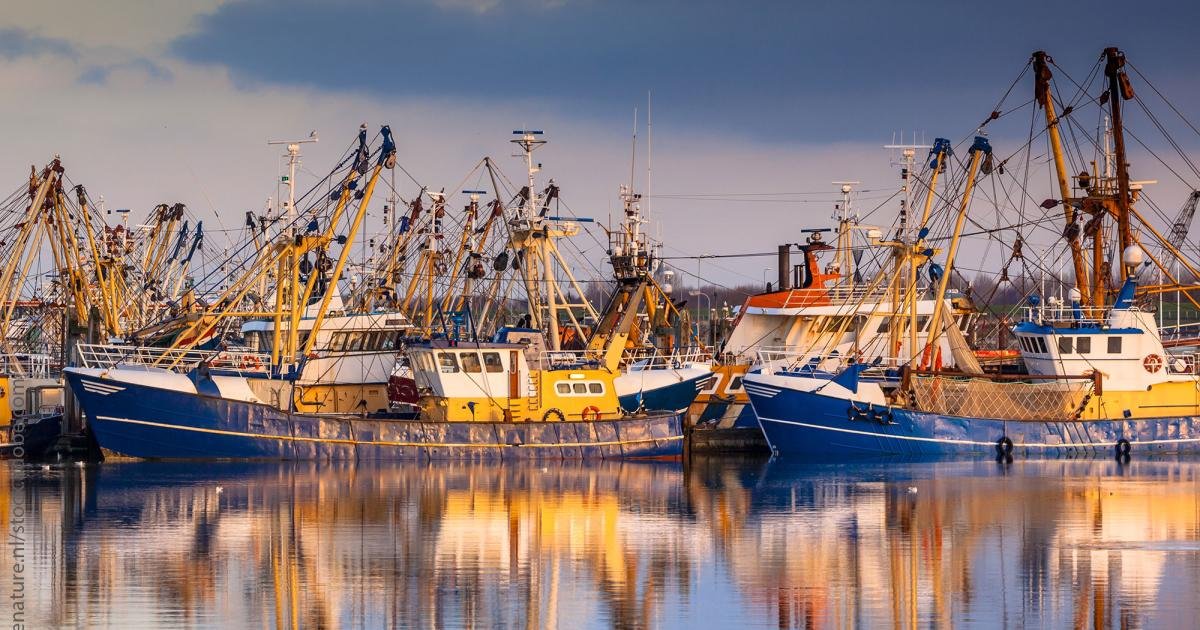 New study on fishing fleet capacity and sustainability