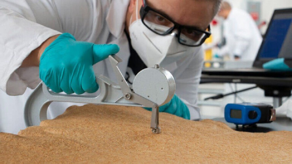 U.S.-based Bolt Threads has opened an office in Arnhem, the Netherlands, to scale its Mylo sustainable leather alternative to Europe.