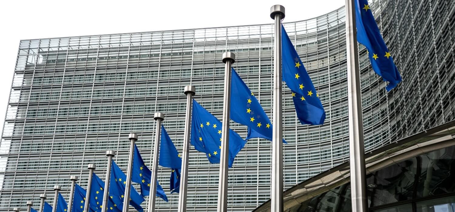 A global appeal to exclude bovine leather from the EUDR