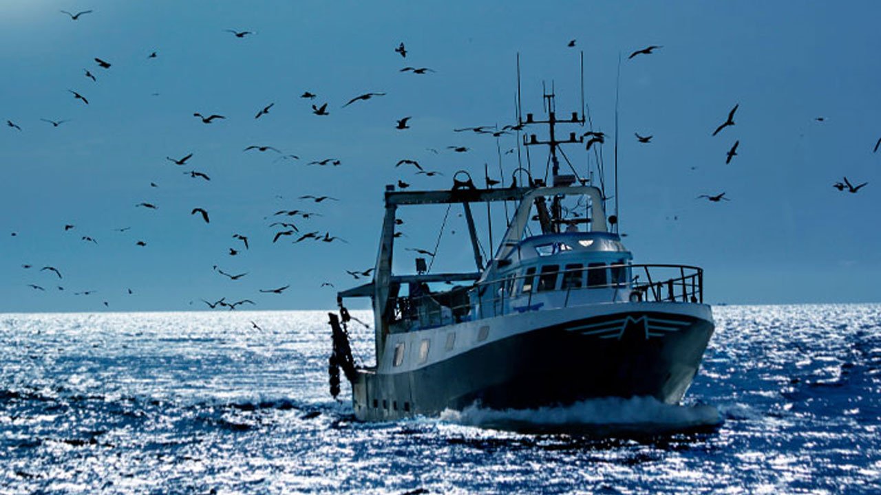 Seafood Europe and U.S. Seafood Industry Call for Extension and Flexibility on EU CATCH Requirements