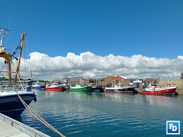 The Department of Justice has issued an update to all employers of sea fishers under the Atypical Working Scheme DAFM Assistant Secretary General mcconalogue fishing sector meeting Commission proposes fishing opportunities for 2024 in the Atlantic, Kattegat and Skage A new paper has found that the EU Green Deal is diminishing member states fishing fleets competitiveness, increasing reliance on imports SAFE MANNING DOCUMENT NOTICE Ireland ban over-18m trawlers