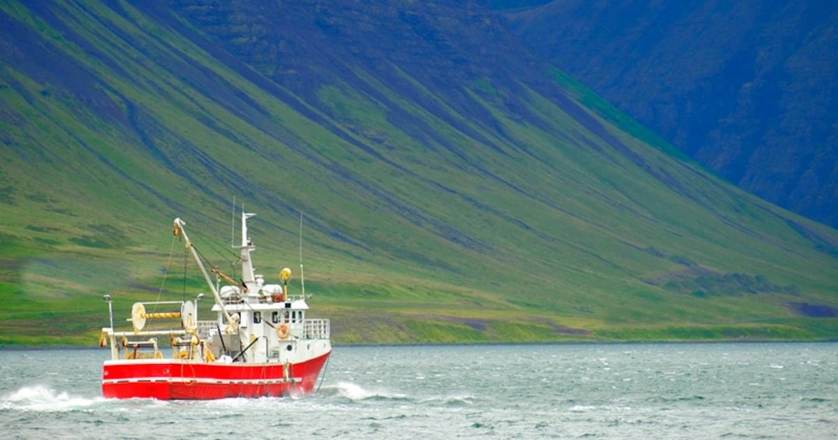 What Iceland's EU vote could mean for its fishing sector