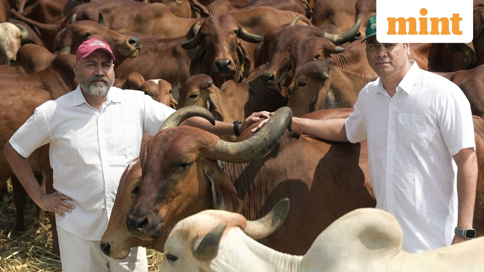 A taste of the terrain: How niche food brands travel from hinterland India to your pantry