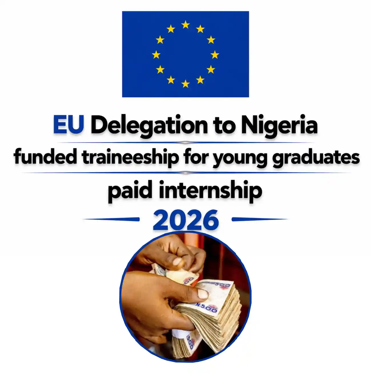 EU Delegation to Nigeria Funded Traineeship 2026 for Graduates (Paid Internship)