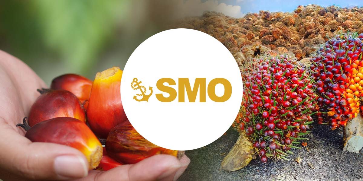 SMO Unveils 2028 Growth Plan: AI, Sustainability, International Expansion