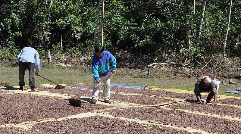 Global Survey on the Effects of EU Compliance On Organic Smallholders