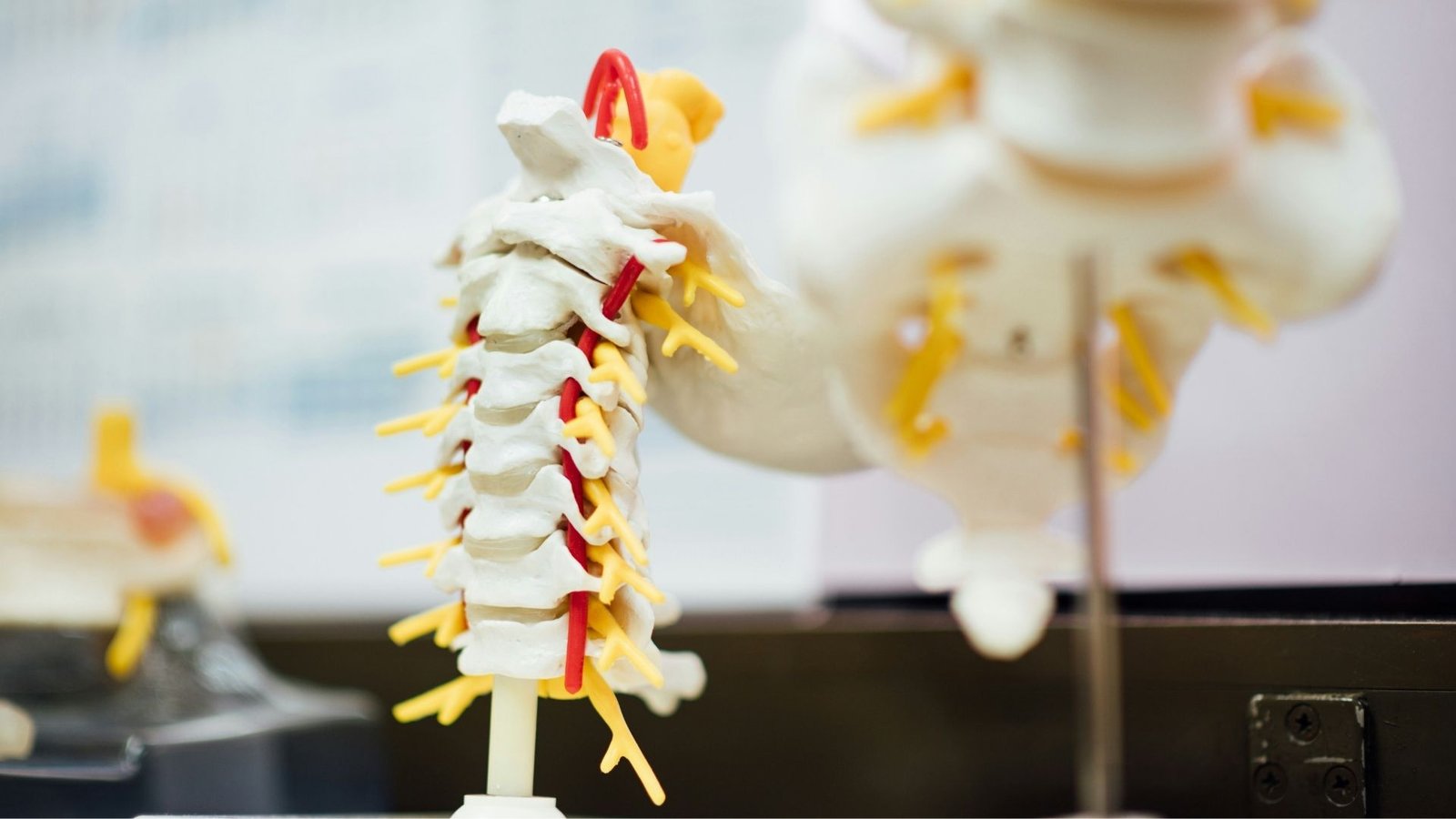 Eindhoven’s ONWARD Medical raises €40.6 million in capital increase to advance spinal cord injury therapies