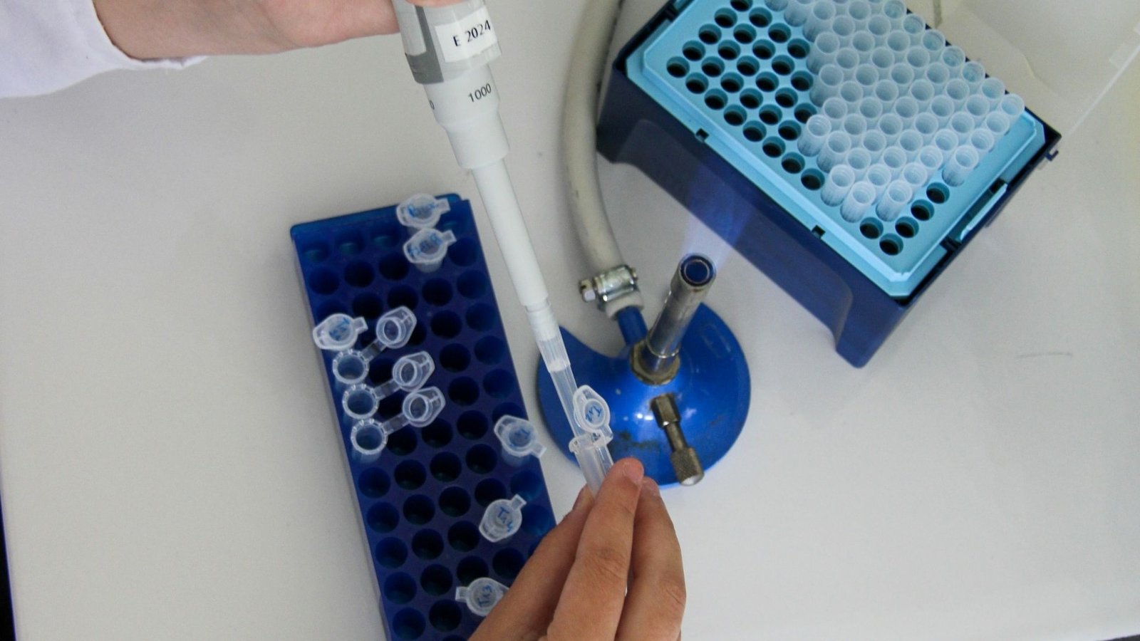 Germany’s mbiomics brings Series A to €30 million to scale microbiome therapeutics for chronic diseases