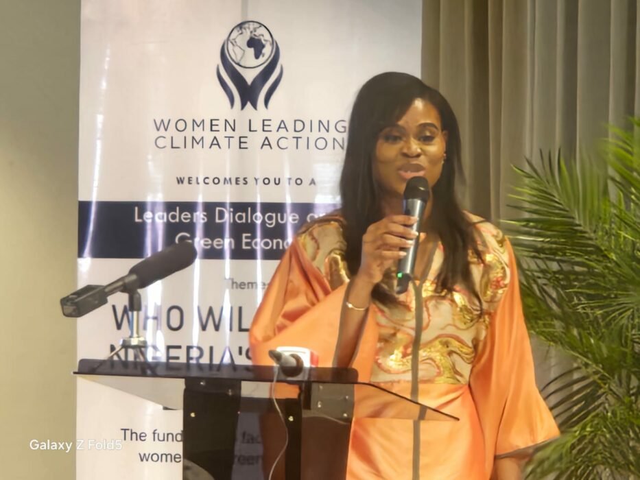 EU, Investment Experts Decry Poor Funding For Women-led Green Businesses