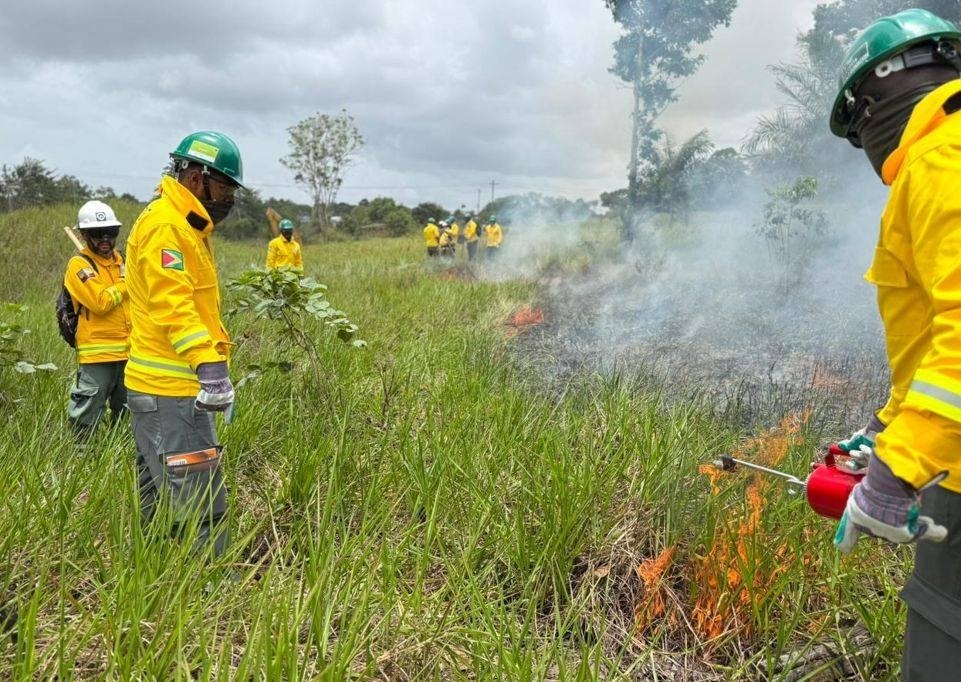 Region 10 representatives, key agencies trained on forest protection through EU partnership