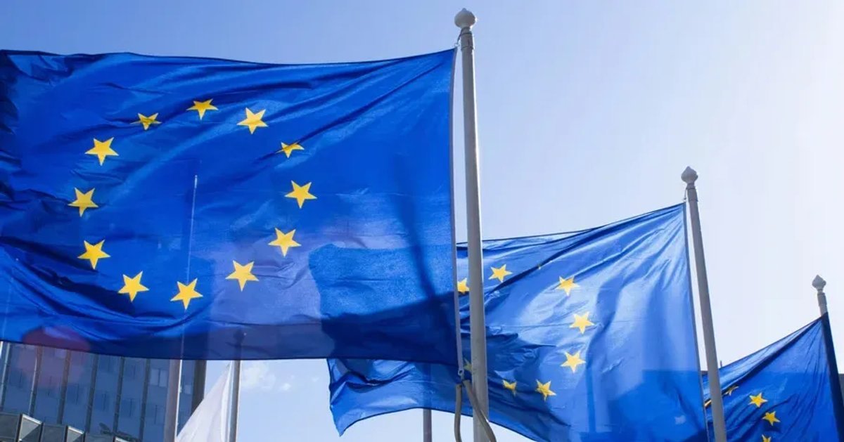 What is the EU Sustainable Supply Chains Coalition?