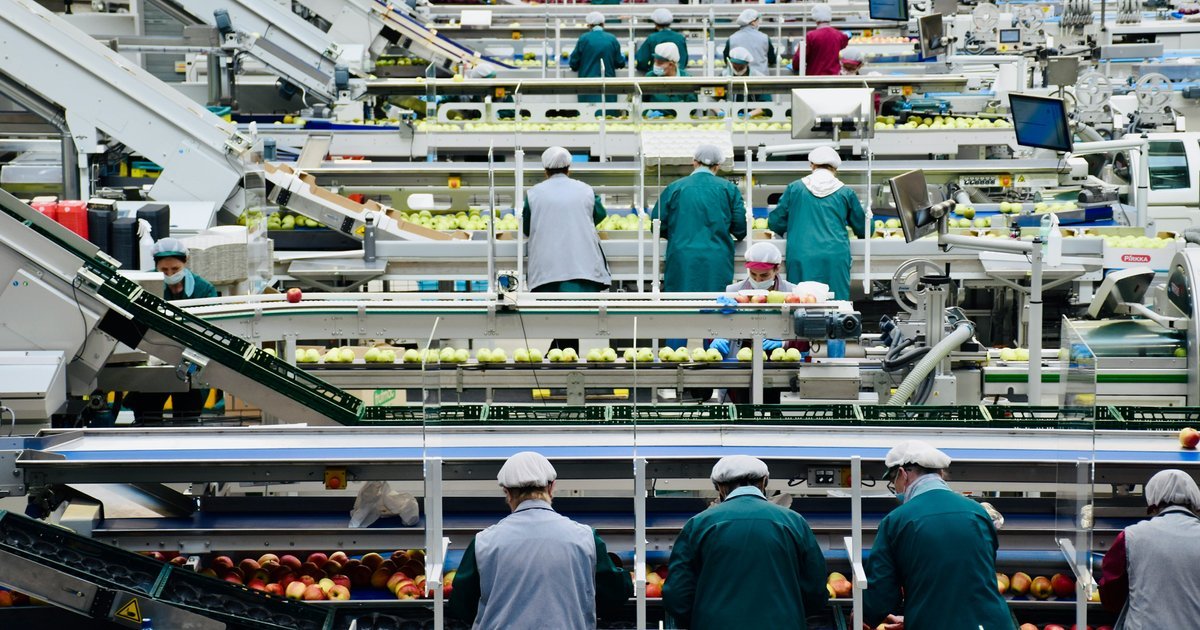 TraceMap: Behind the EU's AI for Food Manufacturing Safety