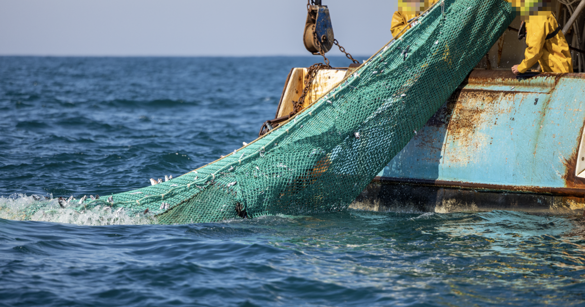 Environmental Justice Foundation | EU FISHERIES POLICY FIT FOR…
