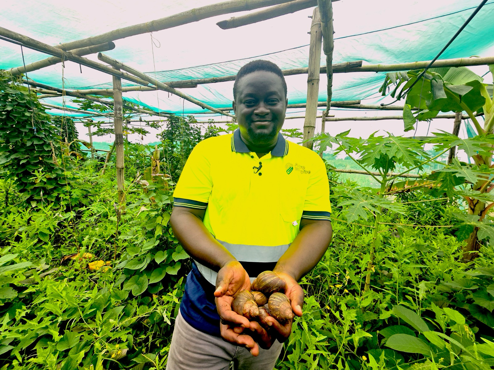 Networking crucial for fueling growth of agribusinesses - Agritech startup founder
