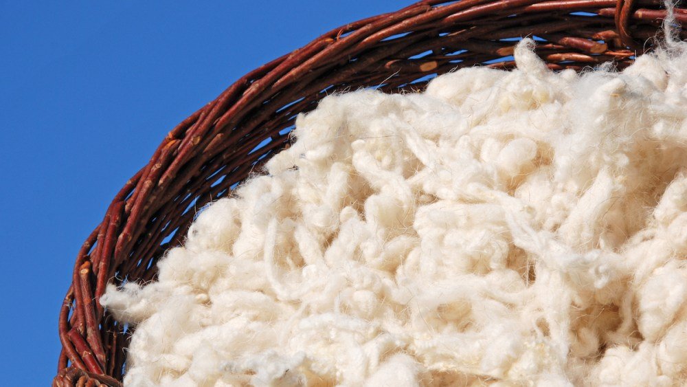 Anti-Counterfeit Tech Firm and European Center of Innovative Textiles Introduce Textile Traceability Tool