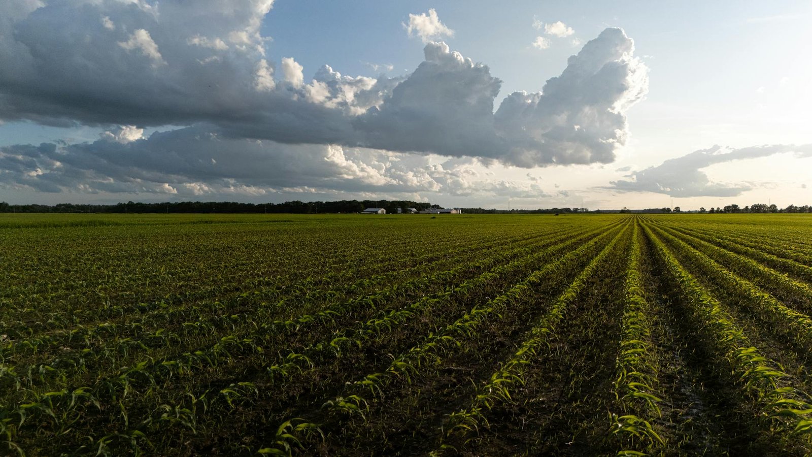 MDA Ltd Soars: A Stellar Week for Space Enthusiasts