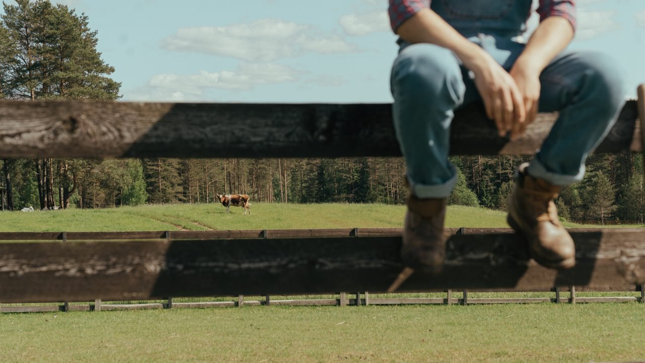 BSE case 'disappointing' but shows effectiveness of surveillance