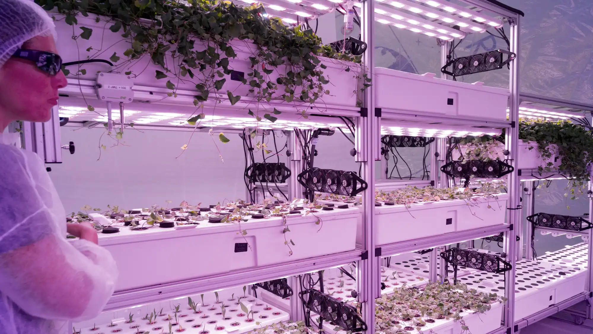 Funding for startups focused on climate change has suffered a chill, partly because of the costs of building out solutions.