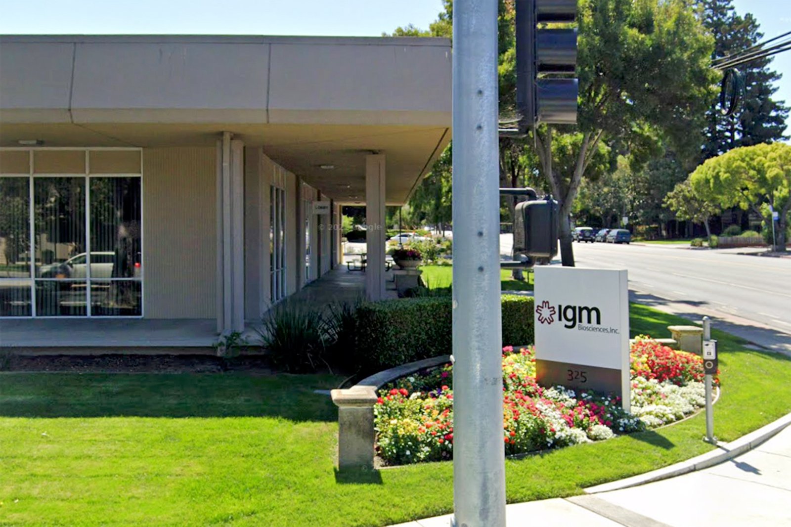 Bay Area biotech firm once worth billions guts staff with 73% layoff